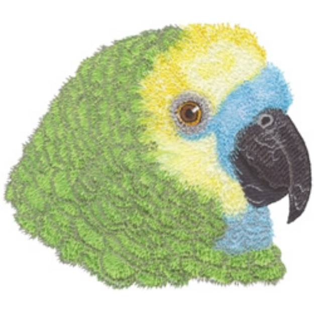 Picture of Blue Fronted Amazon Machine Embroidery Design