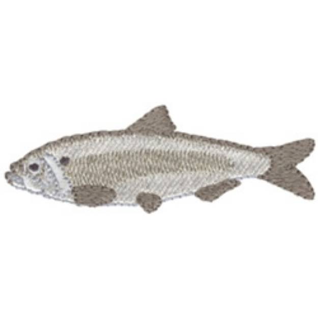 Picture of Alewife Herring Machine Embroidery Design