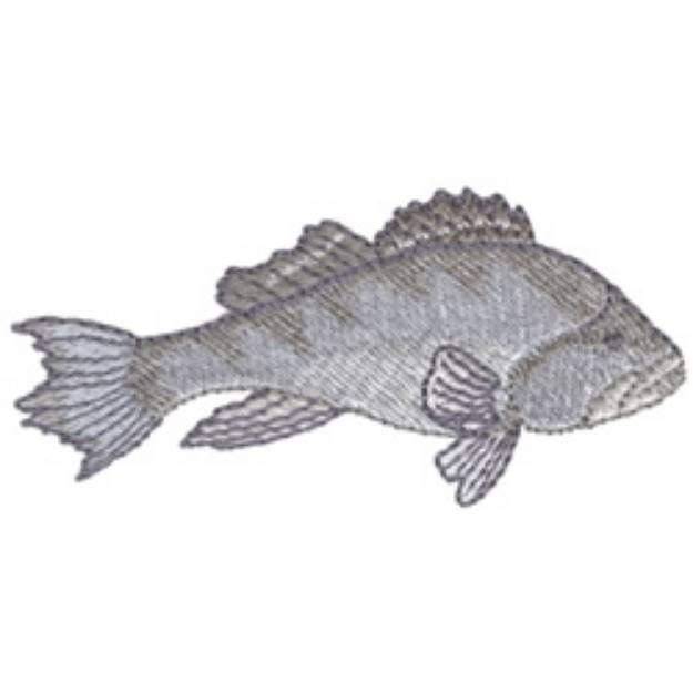 Picture of Black Sea Bass Machine Embroidery Design