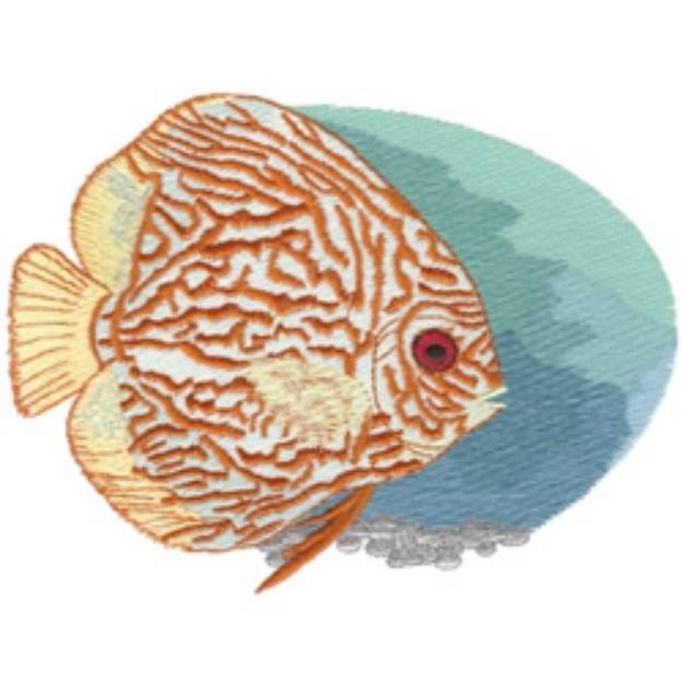 Picture of Discus Fish Machine Embroidery Design