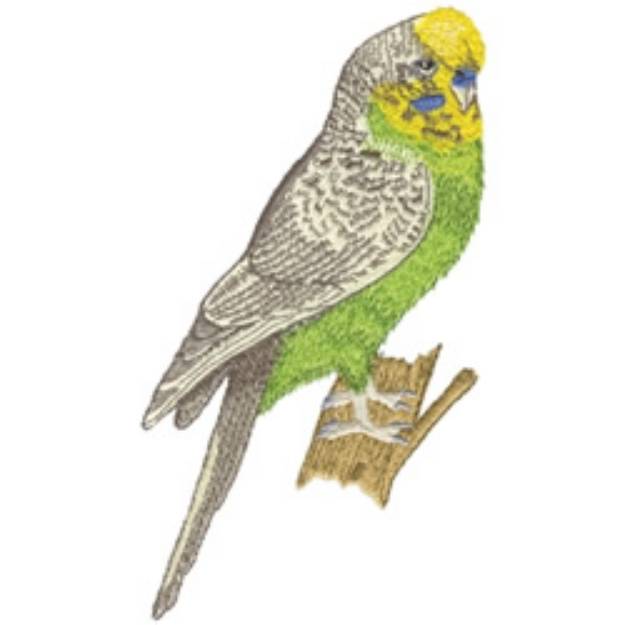 Picture of Budgerigar Machine Embroidery Design