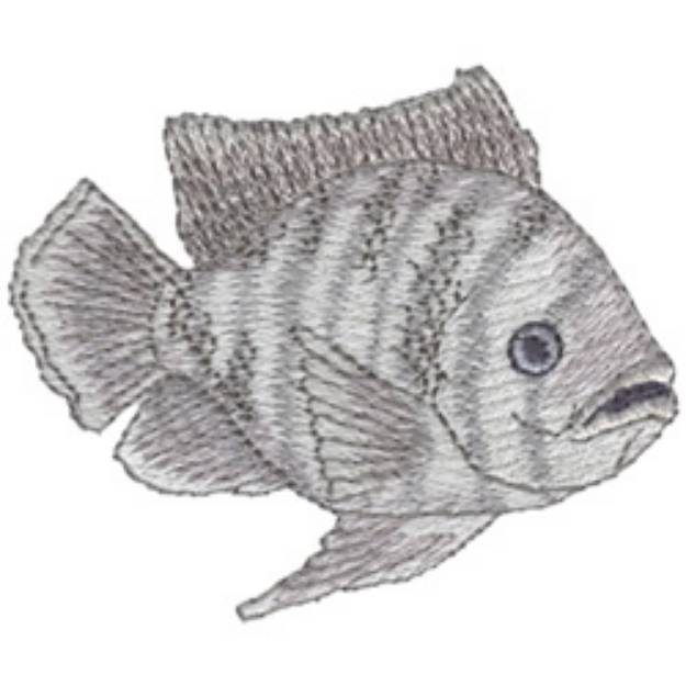 Picture of Tilapia Machine Embroidery Design