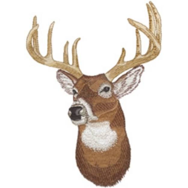 Picture of Whitetail Deer Head Machine Embroidery Design