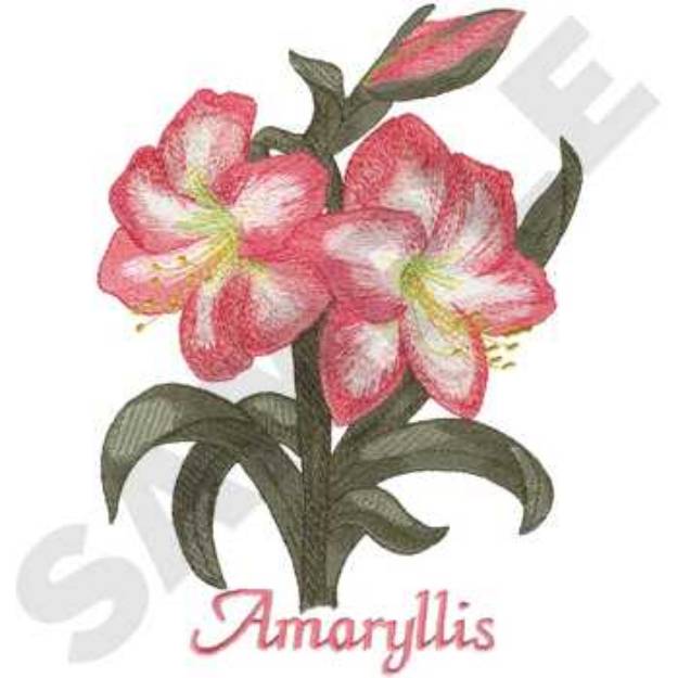 Picture of Amaryllis Machine Embroidery Design