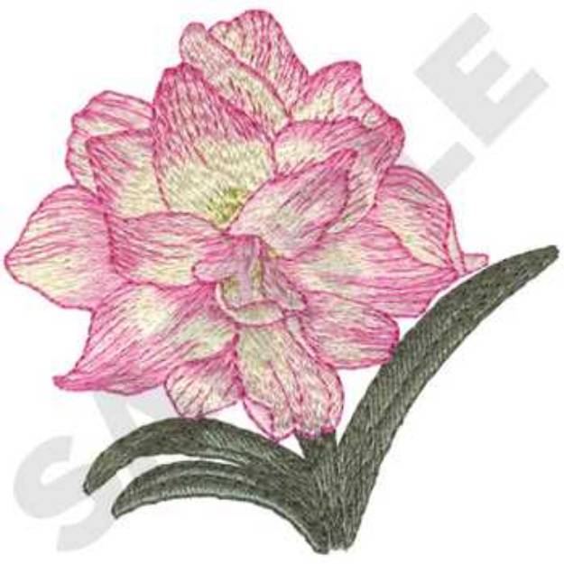 Picture of Amaryllis Machine Embroidery Design