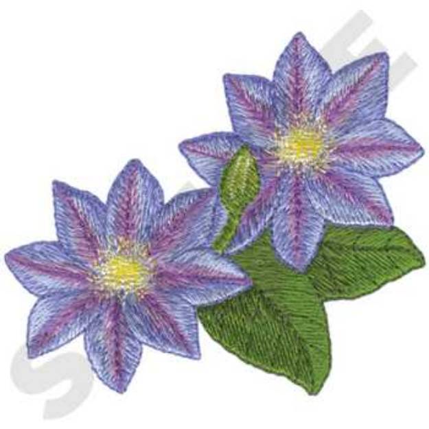 Picture of Clematis Machine Embroidery Design