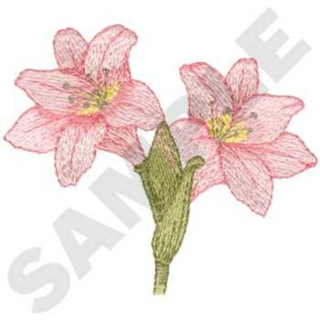 Picture of Amaryllis Machine Embroidery Design