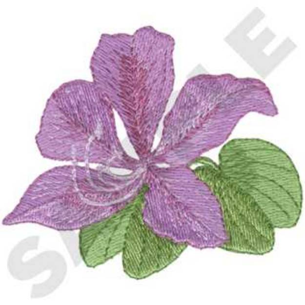 Picture of Hong Kong Orchid Machine Embroidery Design