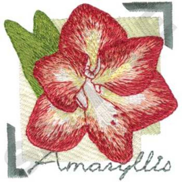 Picture of Amaryllis Machine Embroidery Design