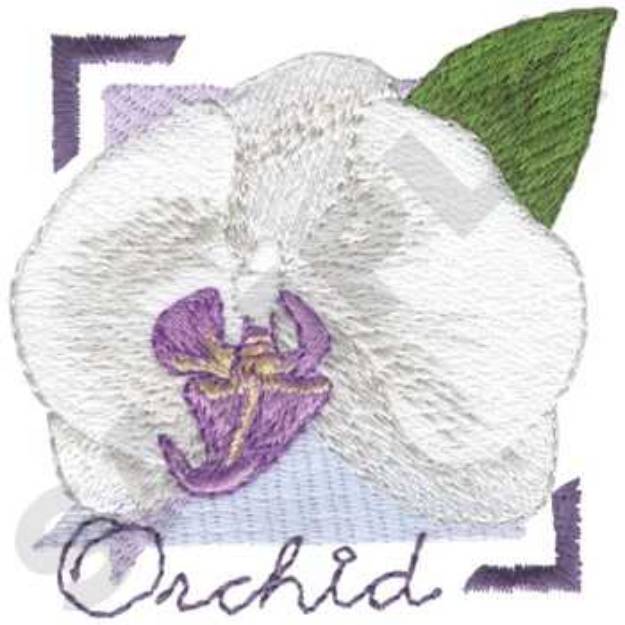 Picture of Orchid Machine Embroidery Design