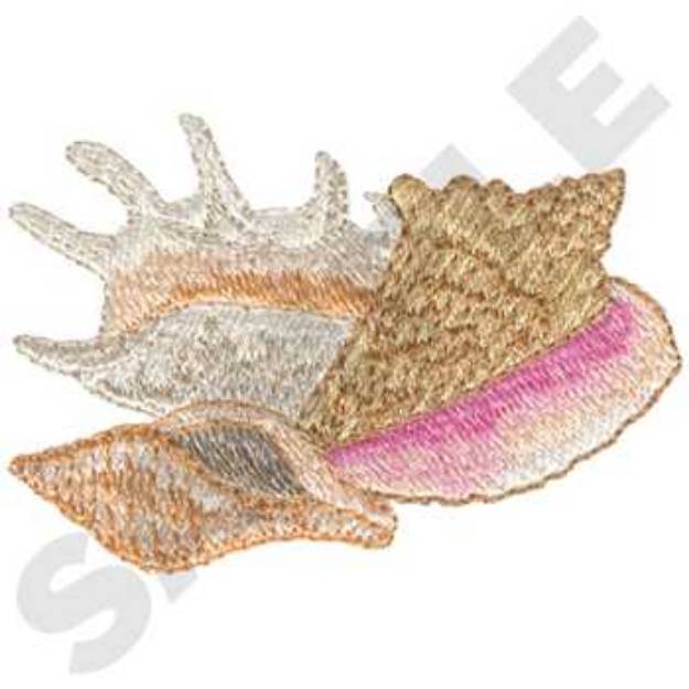 Picture of Conch Shells Machine Embroidery Design