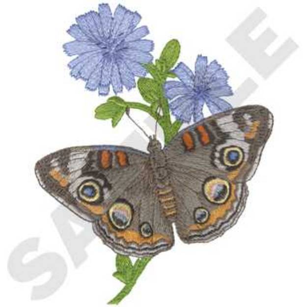 Picture of Buckeye Chickory Machine Embroidery Design