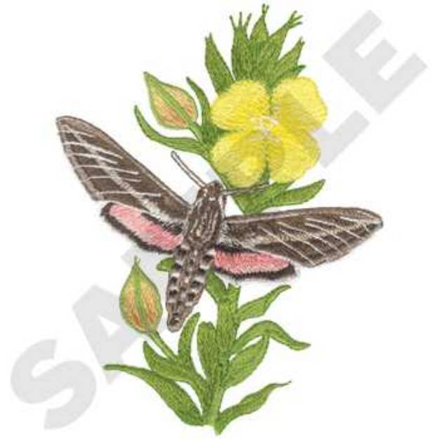 Picture of Sphinx Moth Machine Embroidery Design