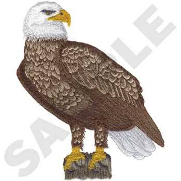 Picture of Bald Eagle Machine Embroidery Design