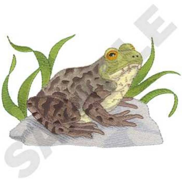 Picture of North American Bullfrog Machine Embroidery Design