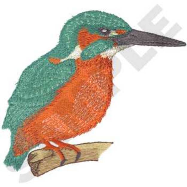 Picture of European Kingfisher Machine Embroidery Design