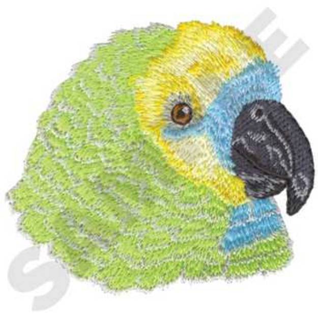 Picture of Blue-fronted Amazon Machine Embroidery Design