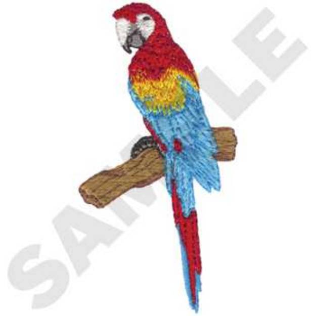 Picture of Scarlet Macaw Machine Embroidery Design