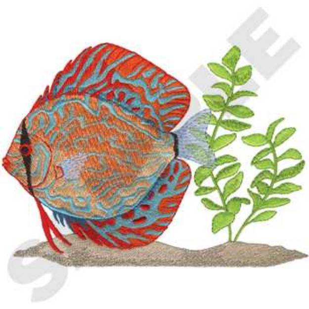 Picture of Discus Fish Machine Embroidery Design