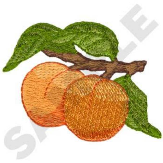 Picture of Apricots Machine Embroidery Design