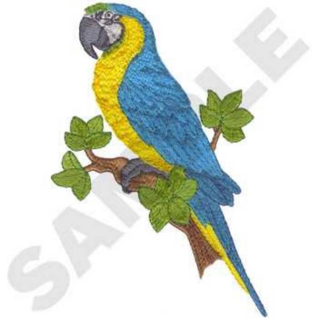 Picture of Macaw Machine Embroidery Design