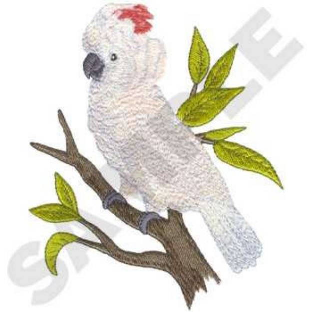 Picture of Moluccan Cockatoo Machine Embroidery Design