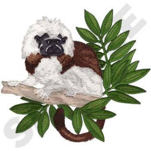 Picture of Cotton Top Tamarin Machine Embroidery Design