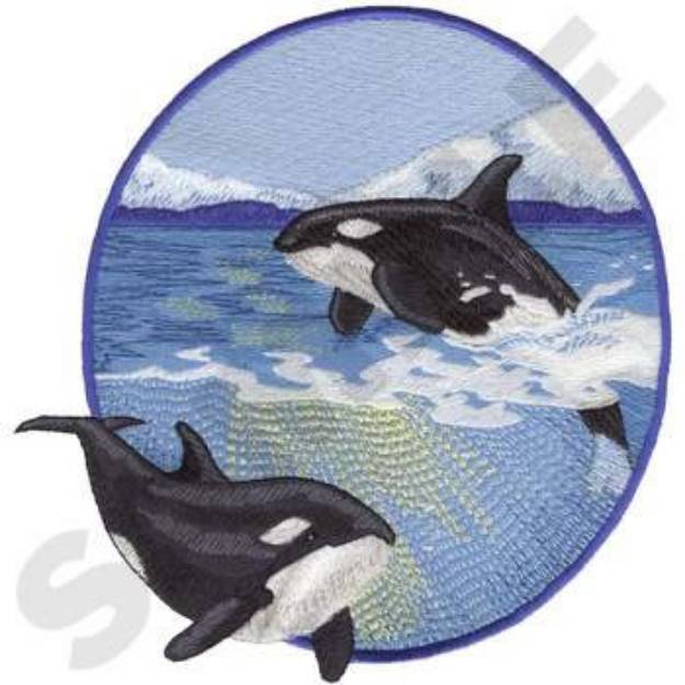 Picture of Killer Whale Scene Machine Embroidery Design