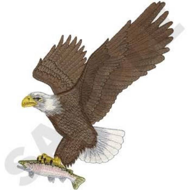 Picture of Bald Eagle Machine Embroidery Design