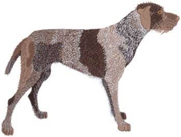 Picture of German Wirehair Pointer Machine Embroidery Design