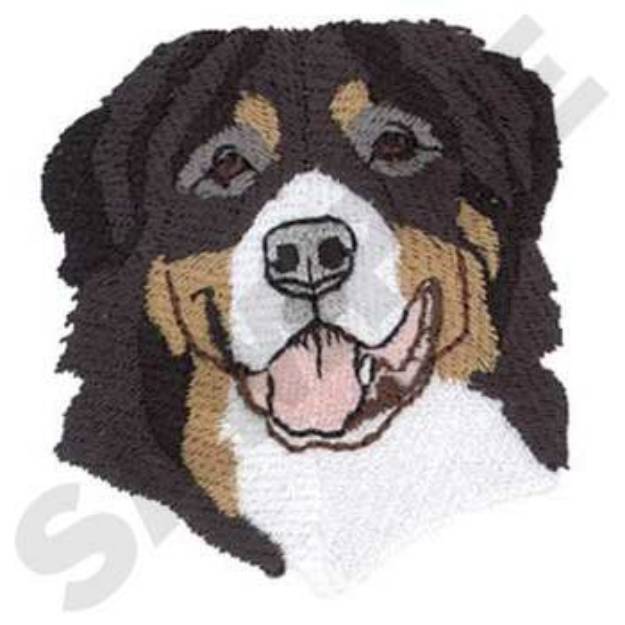 Picture of Bernese Mountain Dog Machine Embroidery Design