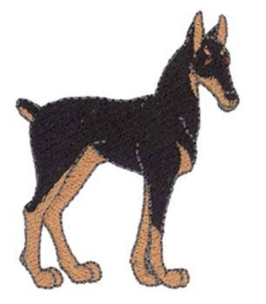 Picture of Doberman Machine Embroidery Design