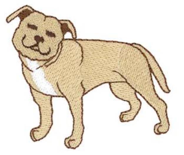 Picture of Staffordshire Bull Terrier Machine Embroidery Design