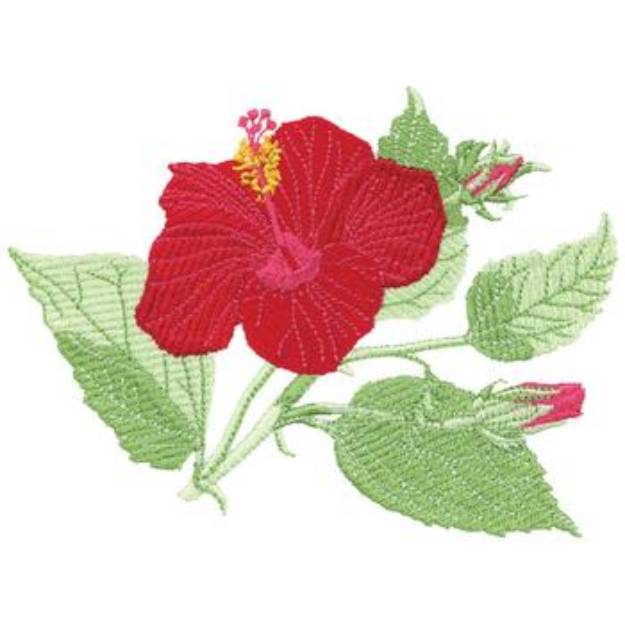 Picture of Hibiscus Machine Embroidery Design