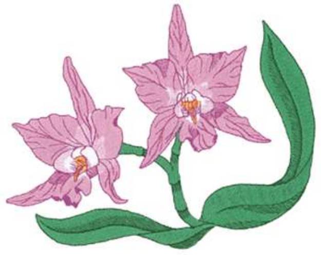 Picture of Orchids Machine Embroidery Design