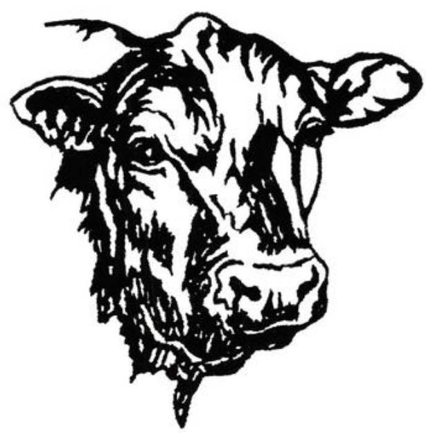 Picture of Steer Head Outline Machine Embroidery Design