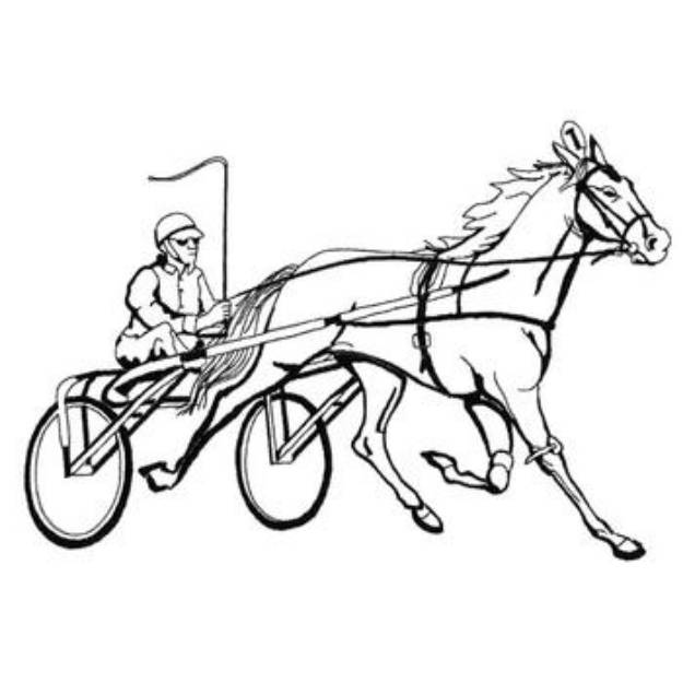 Picture of Sulky Racer Machine Embroidery Design