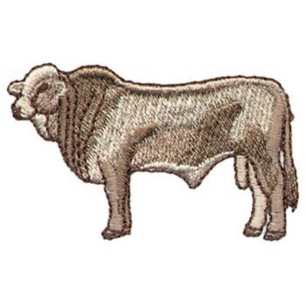 Picture of Simbrah Cattle Machine Embroidery Design