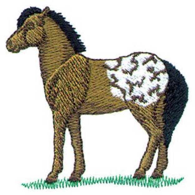 Picture of Small Appaloosa Machine Embroidery Design