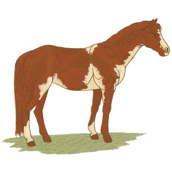 Overo Horse Machine Embroidery Design