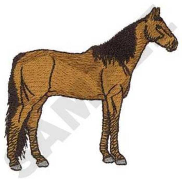 Picture of Morgan Horse Machine Embroidery Design