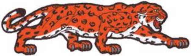 Picture of Jaguar Machine Embroidery Design