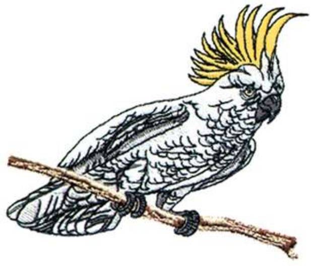 Picture of Cockatoo Machine Embroidery Design