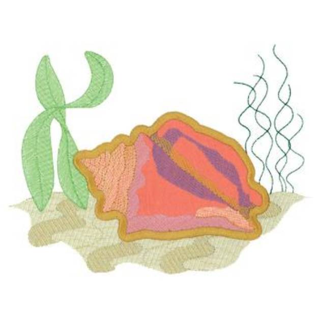 Picture of Conch Applique Machine Embroidery Design