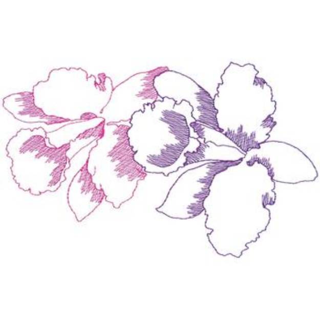 Picture of Lg. Orchids Machine Embroidery Design