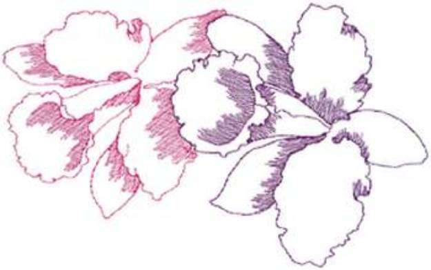 Picture of Small Orchids Machine Embroidery Design