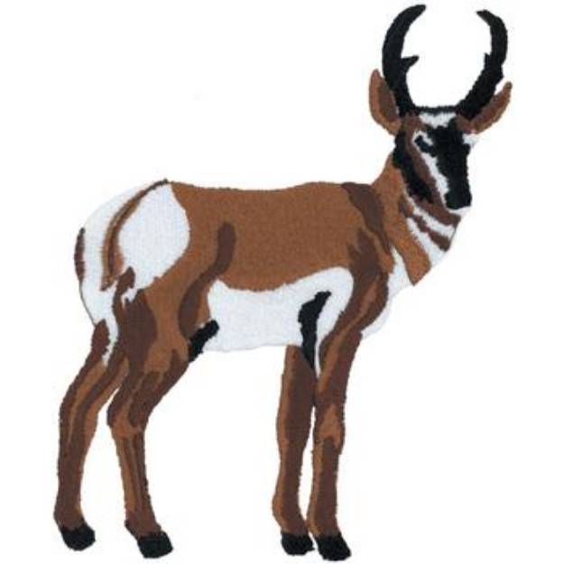 Picture of Pronghorn Antelope Machine Embroidery Design