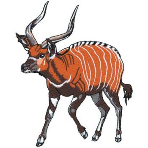 Picture of Bongo Machine Embroidery Design