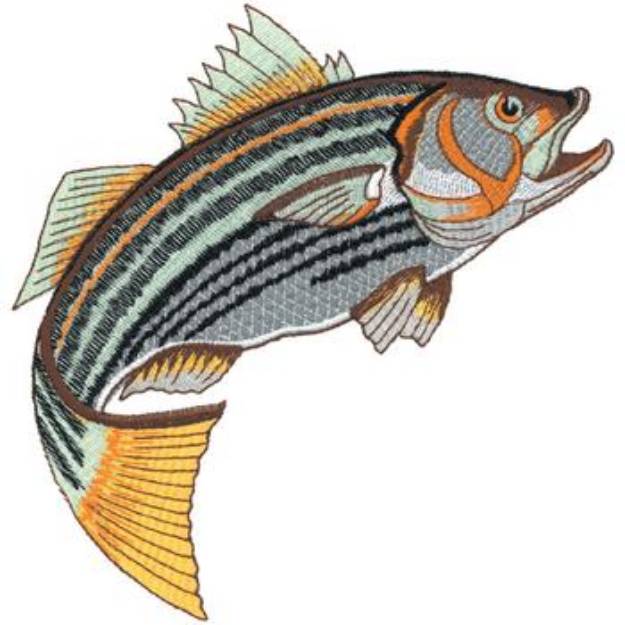 Picture of Striped Bass Applique Machine Embroidery Design