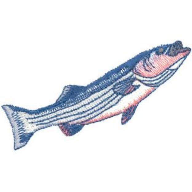 Picture of Striped Bass Machine Embroidery Design